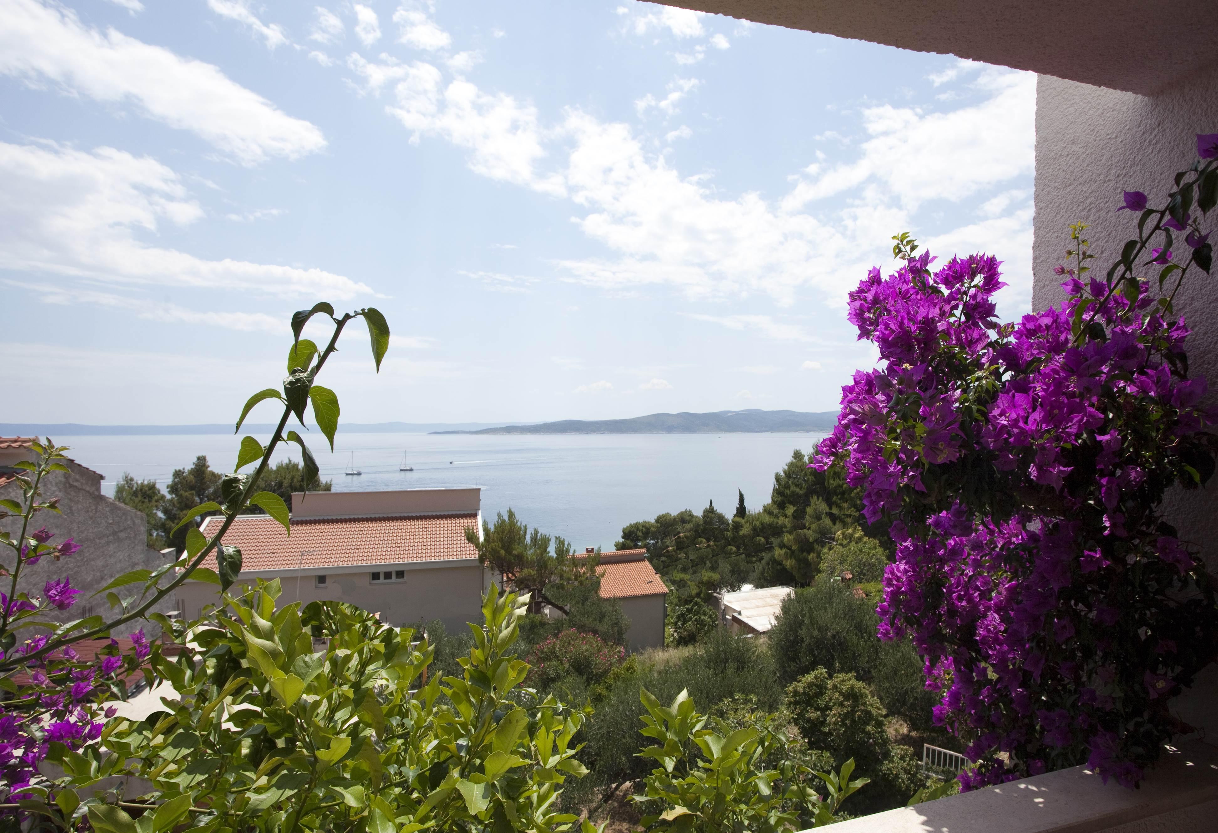 Villa Skalinada, 8 Persons, Private Pool, באסקה וודה מראה חיצוני תמונה